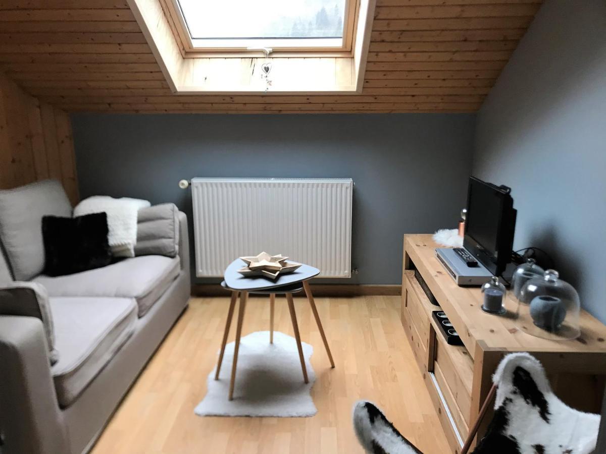 Charmant Appartement 2-4 Personnes Entre Annecy Et Aravis Thônes Zewnętrze zdjęcie