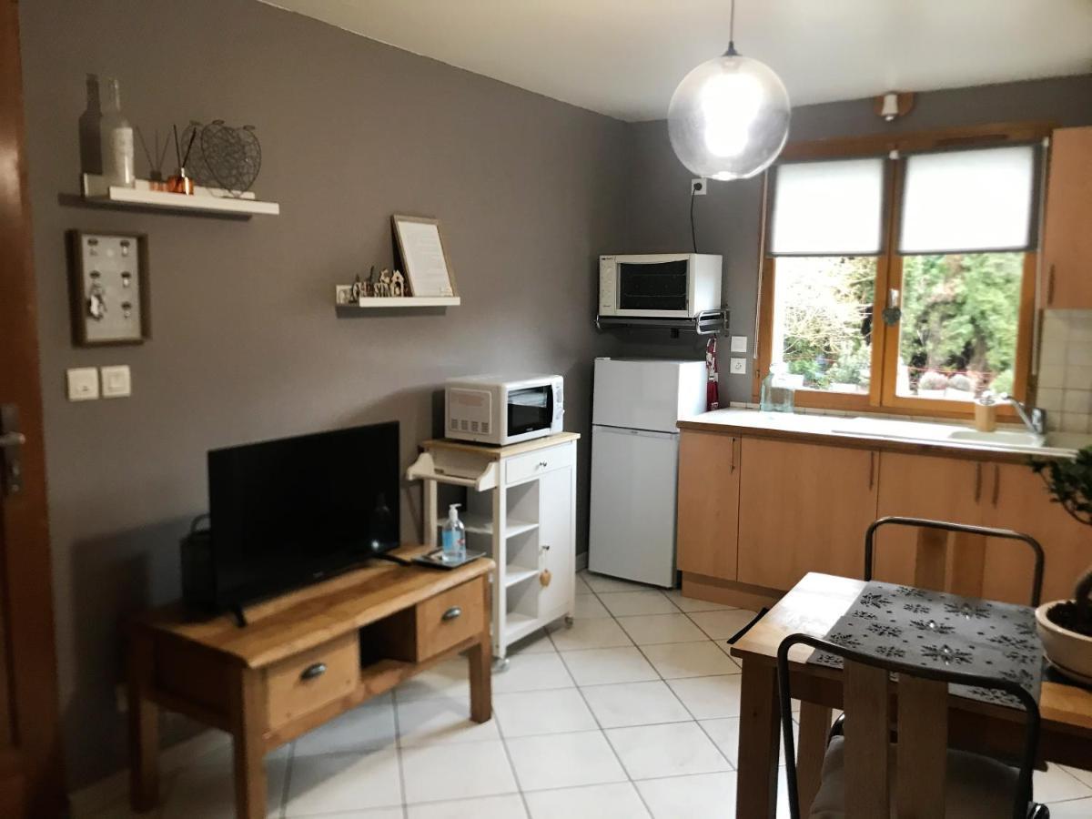 Charmant Appartement 2-4 Personnes Entre Annecy Et Aravis Thônes Zewnętrze zdjęcie