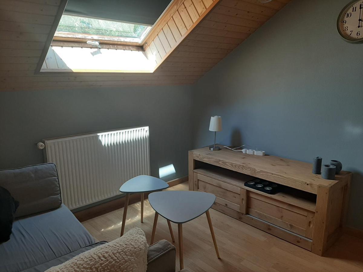 Charmant Appartement 2-4 Personnes Entre Annecy Et Aravis Thônes Zewnętrze zdjęcie